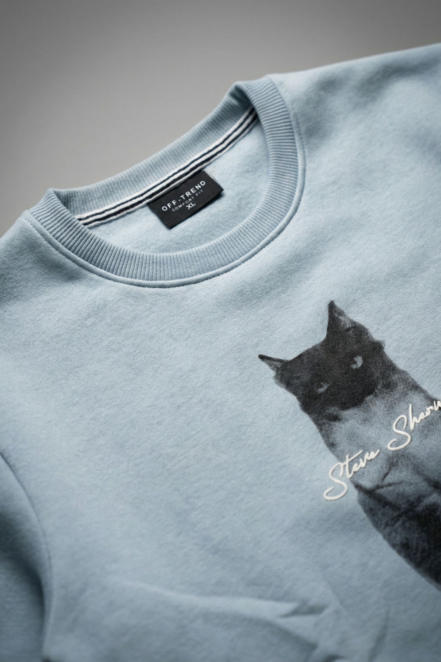 Shadow Cat Art Crewneck – Frost Blue